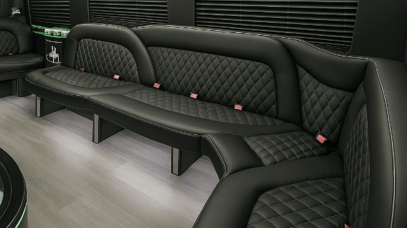 springfield 14 passenger sprinter limousine interior